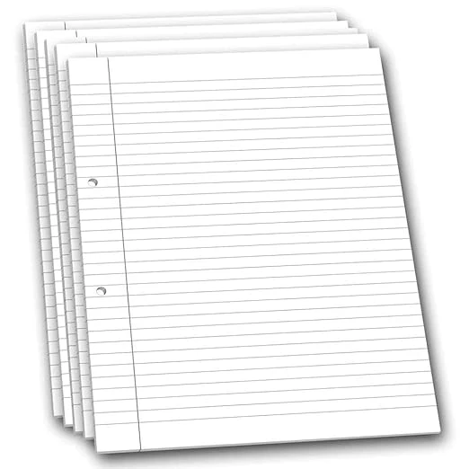 Project Paper Both Side Ruled A4 Size (Pack of 100)